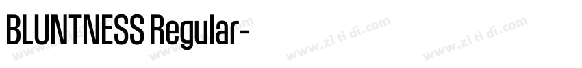 BLUNTNESS Regular字体转换 BLUNTNESS Regular字体转换